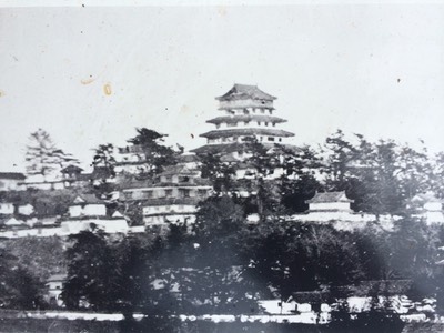 Tsuyama castle